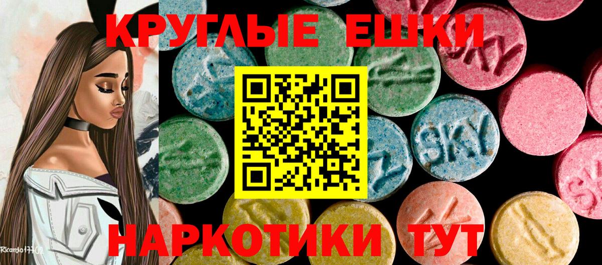Ecstasy Punisher  Вход с VPN  Шали 