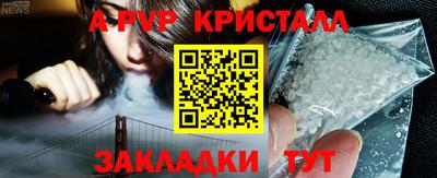 стаф Нальчик
