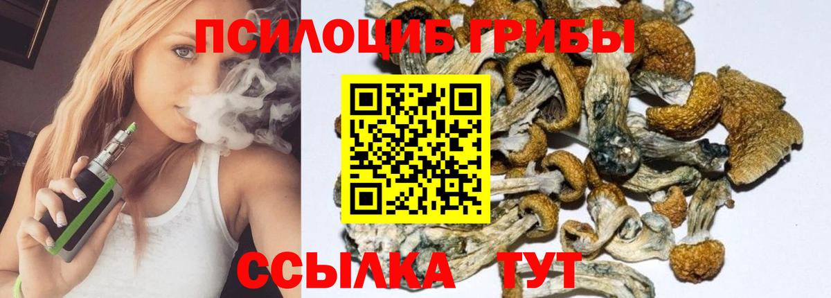 Псилоцибиновые грибы GOLDEN TEACHER  Вход с VPN  Шали 